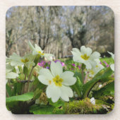 Primrose Cork Untersetzer (Vorderseite)