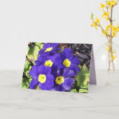 Primrose Karte (Gelbe Blume)
