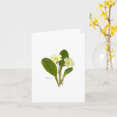 Primrose Karte (Gelbe Blume)