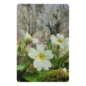 Primrose Mini Clipboard Klemmbrett (Rückseite)