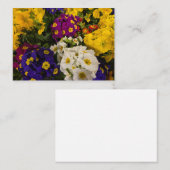 Primrose Mitteilungskarte (Vorne/Hinten)