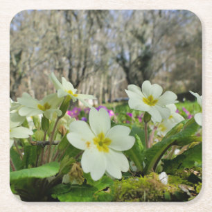 Primrose Paper-Untersetzer Rechteckiger Pappuntersetzer