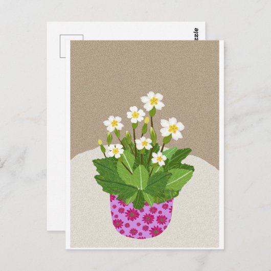 Primrose Postcard Postkarte (Vorne/Hinten)