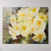 Primrose Posy Poster (Vorne)