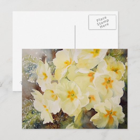 Primrose Posy Postkarte (Vorne/Hinten)