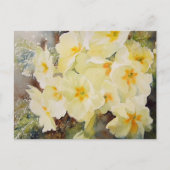 Primrose Posy Postkarte (Vorderseite)