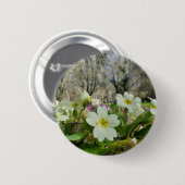 Primrose (Primula vulgaris) Abzeichen Button (Vorne & Hinten)