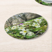 Primrose (Primula vulgaris) Runder Pappuntersetzer (Angewinkelt)