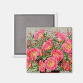 Primrose Seed Packets Magnet (Vorderseite/Rückseite)