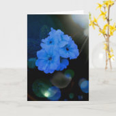 Primrosen Blume in blau Karte (Gelbe Blume)
