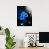 Primrosen Blume in blau Poster (Heimbüro)