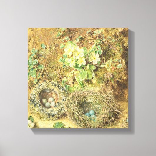 Primrosen und Vogelnester Leinwanddruck (Vorderseite)