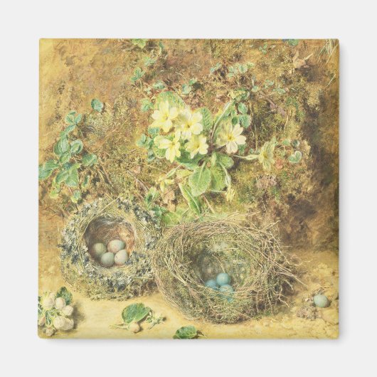 Primrosen und Vogelnester Magnet (Vorne)