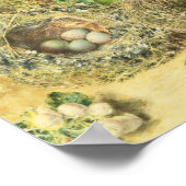 Primrosen und Vogelnester Poster (Ecke)