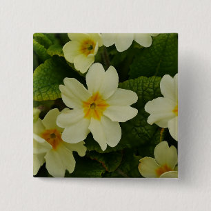 Primroses Abzeichen Button
