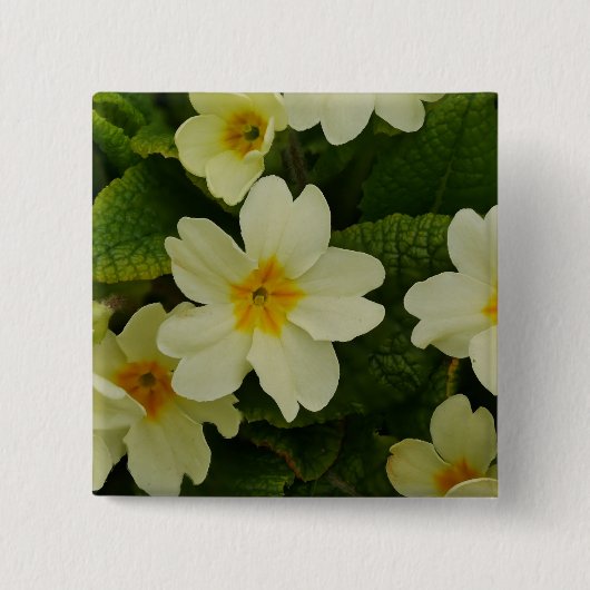 Primroses Abzeichen Button (Vorderseite)