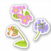 Primroses Aufkleber (Vorderseite)