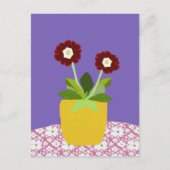 Primula aricula Postkarte (Vorderseite)