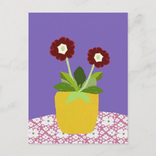 Primula aricula Postkarte (Vorderseite)