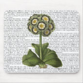 Primula Auricula Blau Mousepad (Vorne)