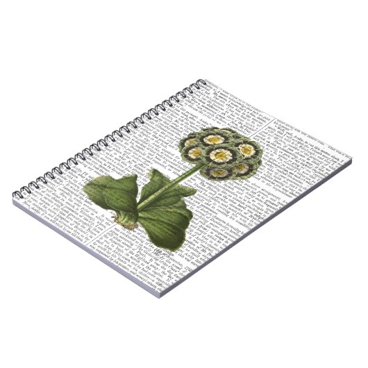 Primula Auricula Blau Notizblock (Linke Seite)