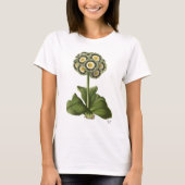 Primula Auricula Blau T-Shirt (Vorderseite)
