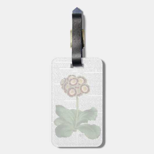 Primula Auricula Red Gepäckanhänger (Rückseite vertikal)