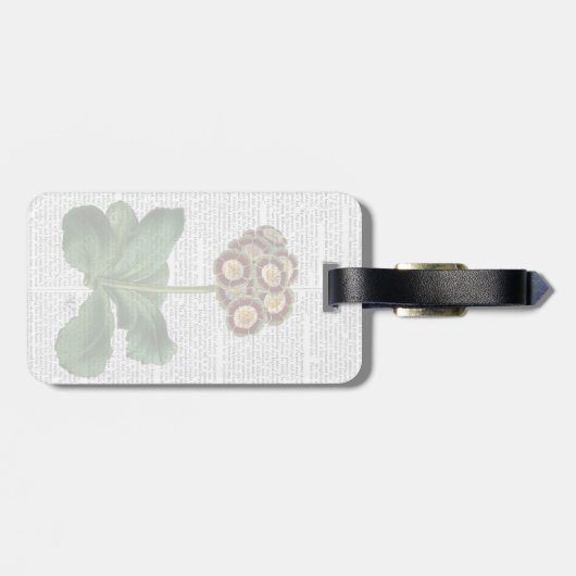 Primula Auricula Red Gepäckanhänger (Rückseite horizontal)