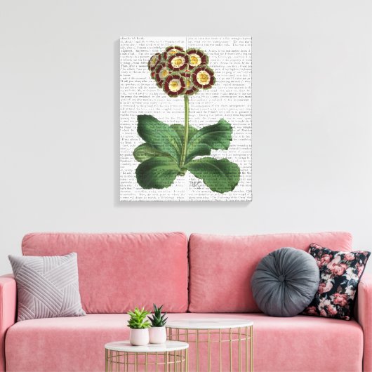 Primula Auricula Red Leinwanddruck (Insitu (Wohnzimmer))