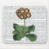 Primula Auricula Red Mousepad (Vorne)
