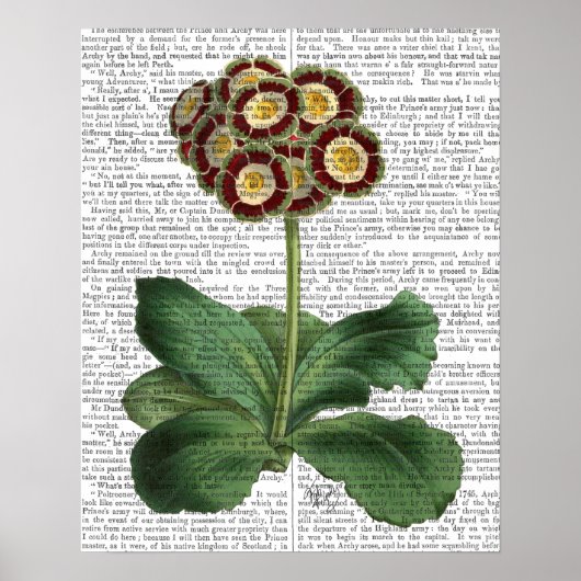 Primula Auricula Red Poster (Vorne)