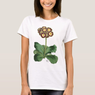 Primula-Aurikel-Rot T-Shirt
