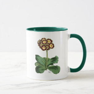 Primula-Aurikel-Rot Tasse
