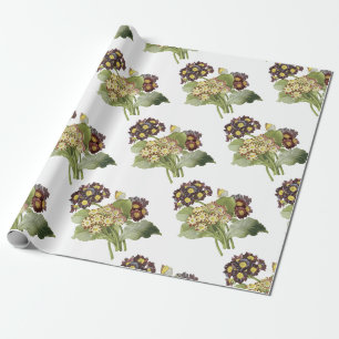 Primula-Blume Geschenkpapier