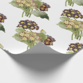 Primula-Blume Geschenkpapier (Ecke)