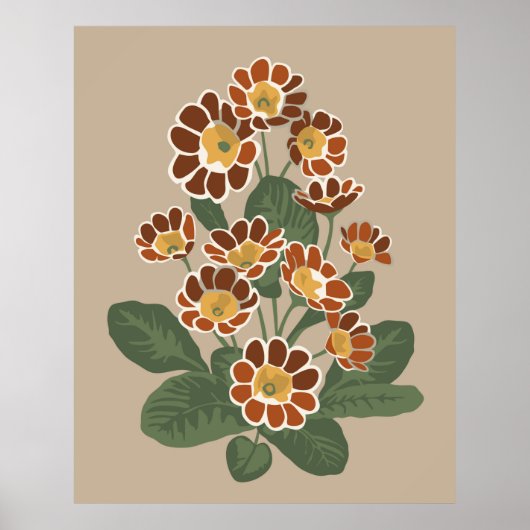 Primula-Blume Poster (Vorne)