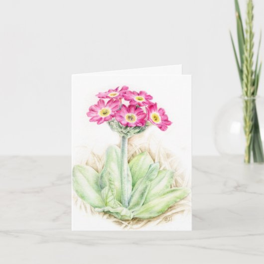 Primula Primula pink Botanische Kunstkarte Dankeskarte (Vorderseite)