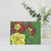 Primula-Primzahlen Postkarte (Stehend Vorderseite)