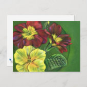 Primula-Primzahlen Postkarte (Vorne/Hinten)