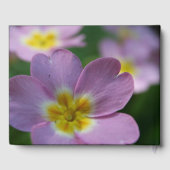 Primula Spring Flowers 1 personalisiertes Memorial Gästebuch (Rückseite)