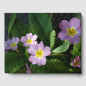 Primula Spring Flowers 2 personalisiertes Memorial Gästebuch (Rückseite)