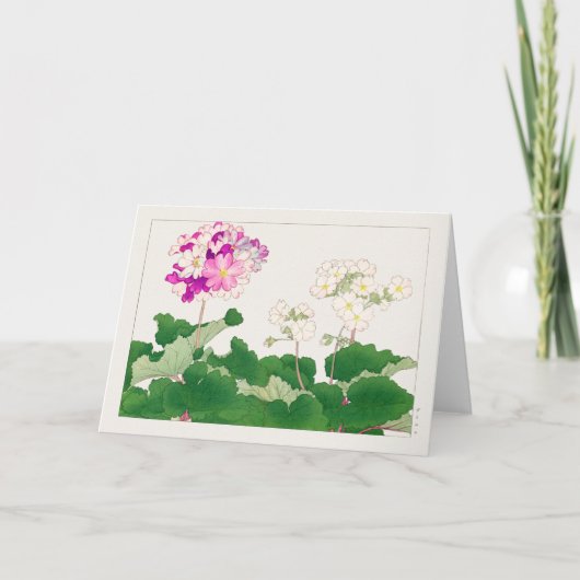 Primula von Tanigami Konan Karte (Vorderseite)