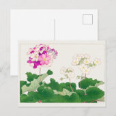 Primula von Tanigami Konan Postkarte (Vorne/Hinten)