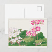 Primula von Tanigami Konan Postkarte (Vorne/Hinten)