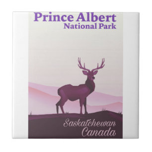 Prince Albert National Park, Saskatchewan, Kanada Fliese