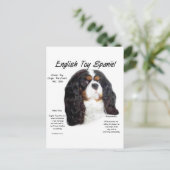 Prince Charles English Toy Spanel History Postkarte (Stehend Vorderseite)