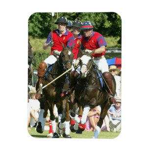 Prince Charles William Harry polo Magnet