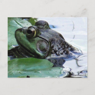 "Prince Charming" Postkarte