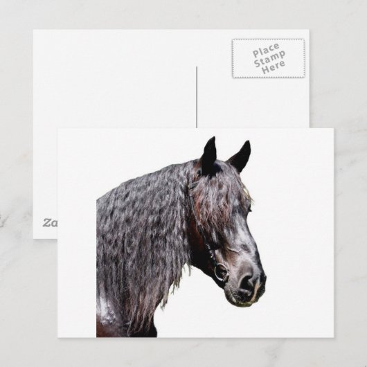 Prince Postkarte (Vorne/Hinten)