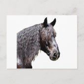 Prince Postkarte (Vorderseite)